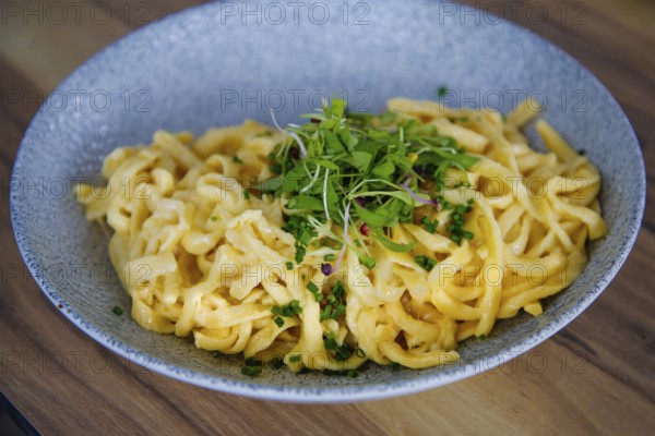 Rübli Restaurant, restaurant, bar, dining restaurant, Swabian cuisine, cheese spaetzle, typical Swabian, traditional cuisine, hearty, homemade spaetzle, food and drink, food, Freiberg am Neckar, Baden-Württemberg, Germany