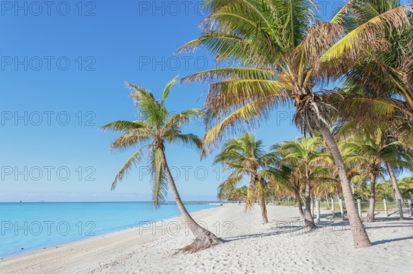 Smathers beach, Key West, Florida, USA