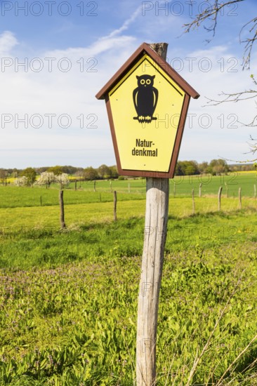 Natural monument sign on the country lane to Medingen with various tree species, many old and new fruit trees, Marsdorf, Dresden, Saxony, Germany