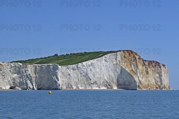 Majestic chalk cliffs above the blue sea under a clear sky, English Channel, Eastbourne, Sussex, England, Great Britain, Beachy Head Cliffs, English Channel, Eastbourne, Sussex, England, Great Britain