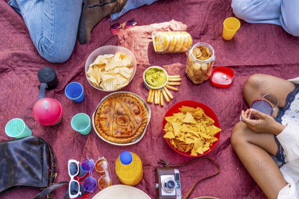 Savory pie, chips, crackers, guacamole, juice, and drinks arranged on a red picnic blanket, creating a vibrant and inviting scene for a casual outdoor gathering