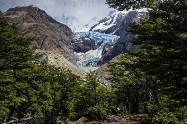 Glacier Piedras Blancas, seen from viewpoint on hike from Hosteria El Pilar to Laguna de Los Tres, El Chalten, Los Glaciares National Park, Patagonia, Argentinia