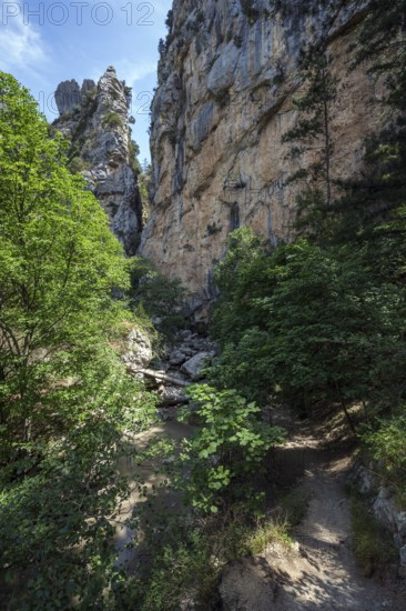 Hiking trail in the gorge of Trevans, Gorges de Trévans, near Estoublon, Alpes-de-Haute-Provence, Provence, France