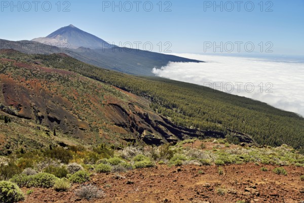 Volcanic landscape, behind volcano Pico del Teide above trade wind clouds, Teide National Park, Tenerife, Canary Islands, Spain