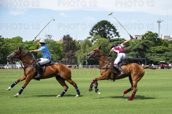 Scene from the 131st Argentine Open Polo Championship (Spanish: Campeonato Argentino Abierto de Polo), the most important international polo tournament, match La Zeta Kazak (red) against Cria La Dolfina (blue), on 16 November 2024, Palermo, Buenos Aires, Argentina