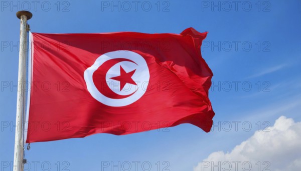 Flags, the national flag of Tunisia flutters in the wind
