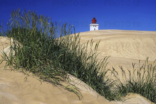 Denmark, Lönstrup dune, lighthouse, Rubjerg Knude, Denmark