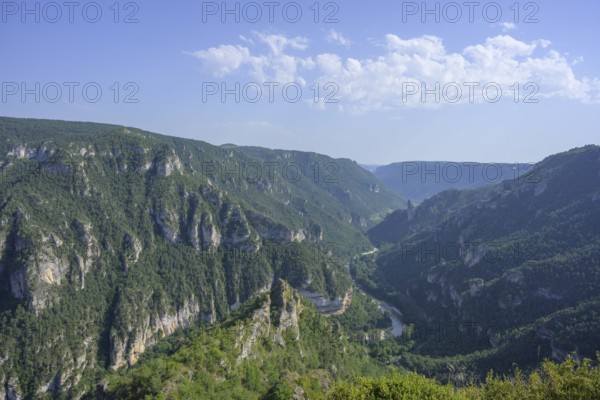 View from Point Sublime into the Tarn Gorge, Massegros Causses Gorges, Point Sublime, Département Lozère, France