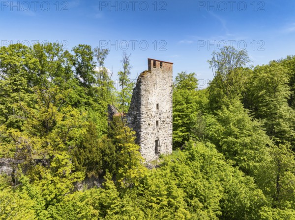Aerial view of the Neuburg ruins, historical sight above Lake Constance, Untersee, Lake Rhine, opposite the Höri peninsula, Canton Thurgau, Switzerland