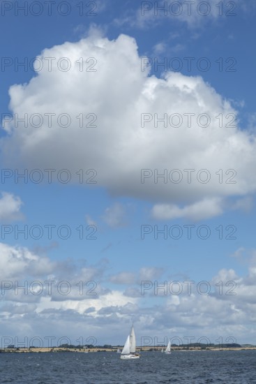 Sailboats, coast near Broager, Syddanmark, Denmark