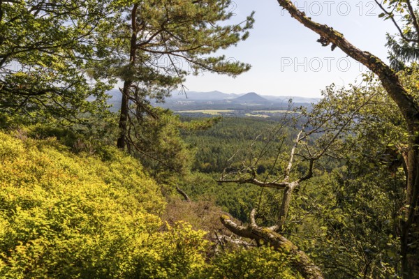 From the Großer Zschirnstein, view to the east to the Rosenberg, Reinhardtsdorf-Schöna, Saxon Switzerland, Saxony, Germany