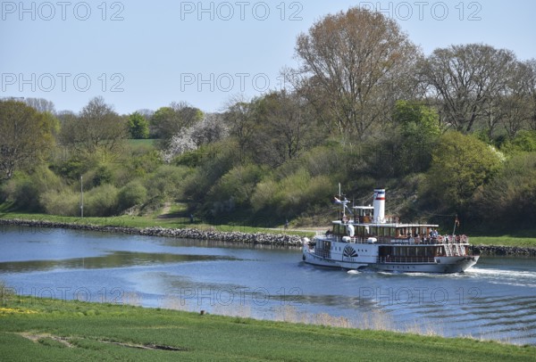 Paddle steamer, steamer, side-wheel steamer Freya sailing in spring in the Kiel Canal, Kiel Canal, Kiel Canal, Schleswig-Holstein, Germany