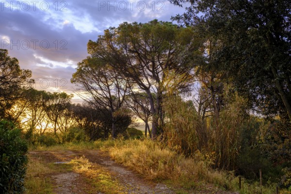 Sunrise at Cruïlles, Costa Brava, Catalonia, Spain