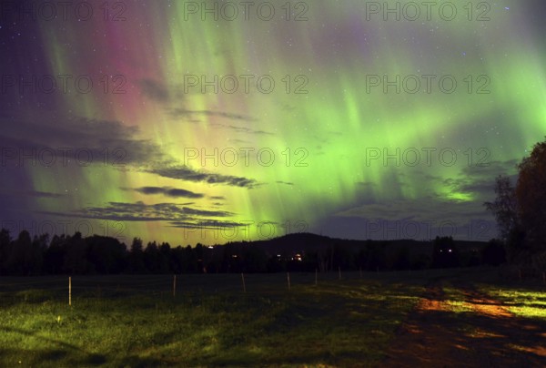 Impressive auroras in green and purple colours light up the night sky over a dark landscape, Vemdalen, Värmland, Sweden