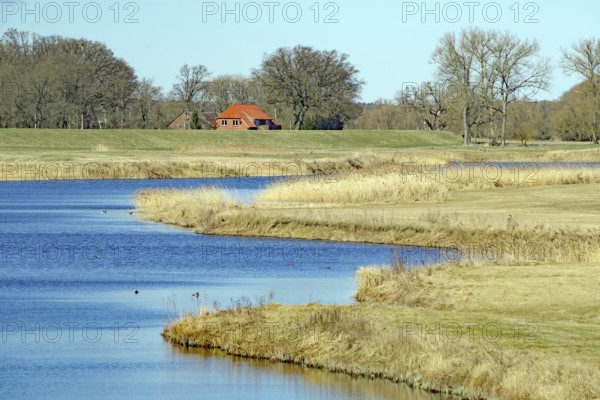A calm river flows through a green landscape with a red house in the distance under a clear sky, Damnatz, Wendland, Lower Saxony, Germany