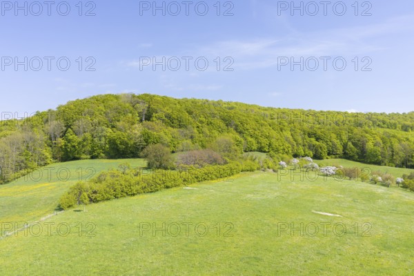 View of the forest and pastures from the historic Wartturm Wehnder Warte, Lindenberg in Eichsfeld, Thuringia, Germany
