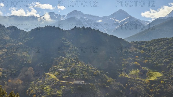 Morning mountain landscape with fog and sun rays breaking through the trees, Erymanthos Mountains, north-west of the Peloponnese peninsula, Peloponnese, Greece