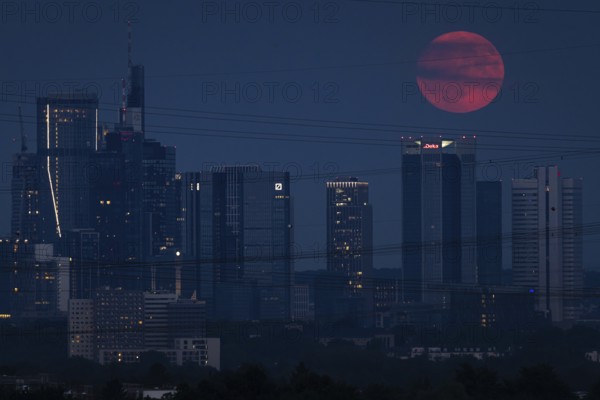 The red full moon passes over Frankfurt's banking skyline. Because of its reddish colour when it rises, the full moon in July is also known as the strawberry moon or blood moon, Frankfurt am Main, Hesse, Germany