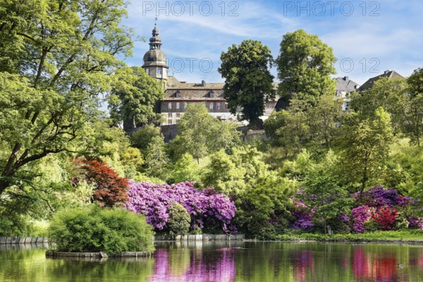 Pond in the castle park, created in the 18th century Rhododendron blossom, in the back Berleburg Castle, ancestral seat of the Sayn-Wittgenstein-Berleburg family, Bad Berleburg, climatic spa, Wittgensteiner Land, Siegen-Wittgenstein district, North Rhine-Westphalia, Germany