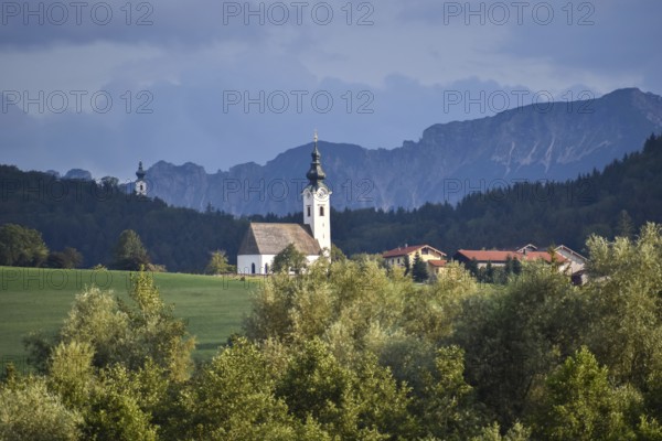 View from the Ainringer moss nature reserve to Ulrichshögl with the Lattengebirge mountains in the background in summer, Bavaria, Germany