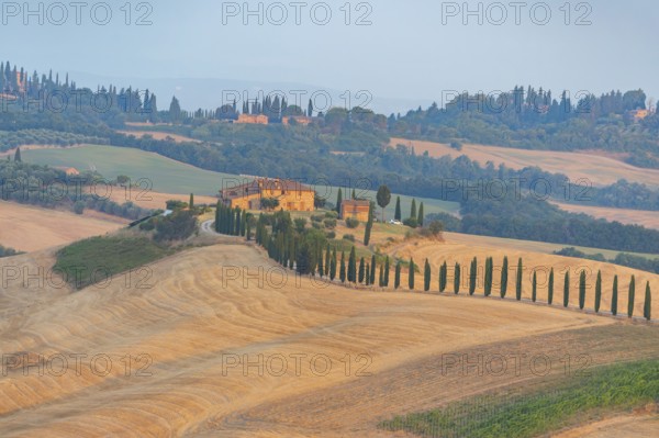 Typical Tuscan landscape in Crete Senesi with hills, trees, fields, cypresses and farm road in autumn, sunrise, Agriturismo Baccoleno, UNESCO World Heritage Site, Siena Province, Tuscany, Italy