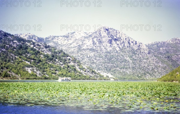 Boat trip on Lake Shkodra Lake Skadar Lake Scutari, between Albania and Montenegro, former Yugoslavia, Europe 1970