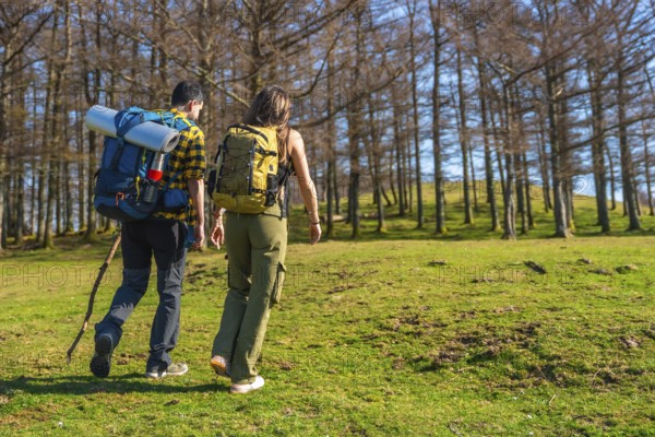 Hikers with backpacks trekking through a vibrant forest, soaking in the sunshine and enjoying the beauty of nature on a perfect day