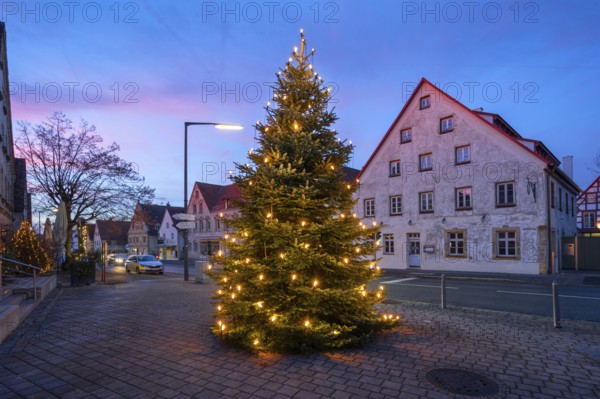 Illuminated Christmas tree on the village square at dusk, Eschenau, Middle Franconia, Bavaria, Germany