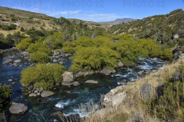 The Chimehuin River in Patagonia, Neuquen, Argentina