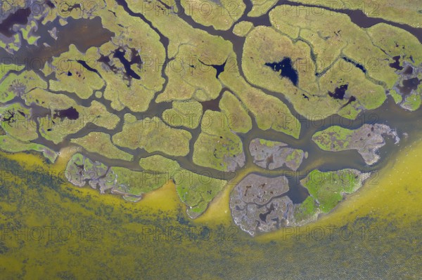 Aerial view over salt marsh on the island Kirr in the Darß-Zingster Boddenkette, along the German Baltic Sea coast, Mecklenburg-Vorpommern, Germany