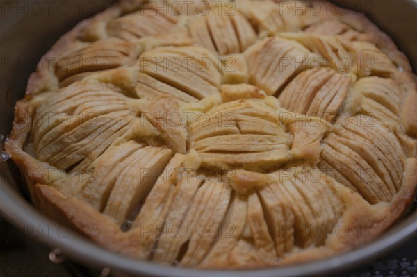 Freshly baked apple pie, Bavaria, Germany