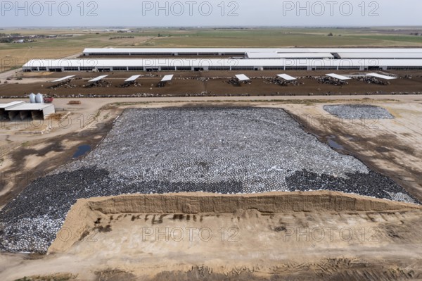 Roggen, Colorado, Fodder for dairy cattle at the Lost Creek Dairy farm. The farm milks 5700 Holsteins. It is one of several large dairy farms owned by Overview Business Holdings. The fodder is covered with tarp, weighted down with tires