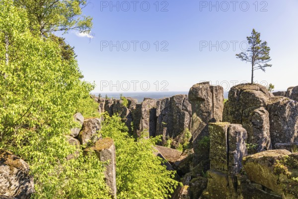 Single pine tree on rock boulders in a dramatic ravine landscape with a view to the horizon, Billingen, Skövde, Sweden