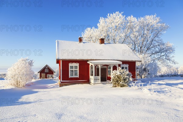 Idyllic old wooden red cottage a beautiful winter day with frosty trees and snow in the swedish countryside, Sweden