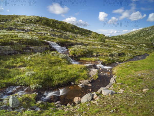 Rondane National Park, Fjell, waterfall, Rondafjell, Enden, Innlandet, Norway