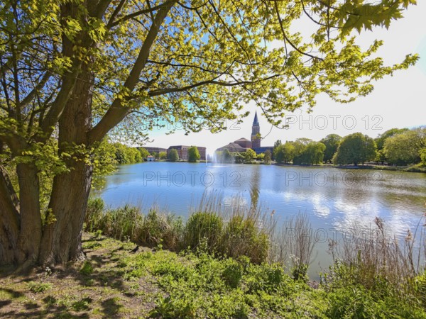 View over the former city moat Kleiner Kiel to the town hall and opera house Damperhof, Hiroshima Park, green city, reeds, fountain, backlight, Kiel, Schleswig-Holstein, Germany