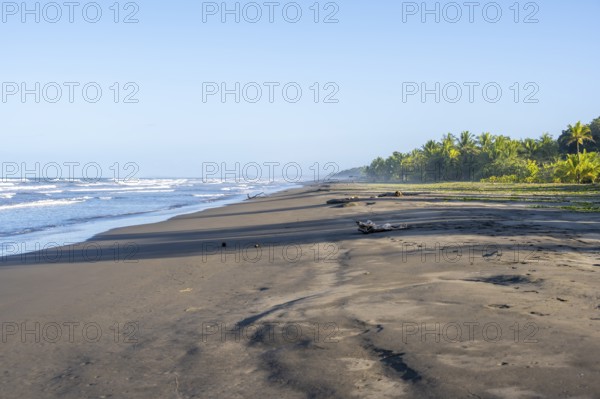 Wide sandy beach and sea, Caribbean coastal landscape with palm trees, Limón province, Costa Rica