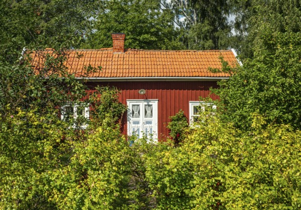 Red cottage among trees and bushes on the island of Visingsö, Lake Vättern, Jönköping municipality, Småland, Sweden, Scandinavia