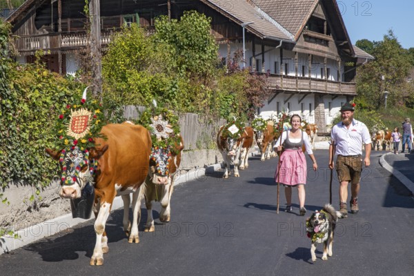 Alpine pasture descent through the village of Terfens, from the Eng-Alm through the Karwendel mountains into the Inn Valley, Terfens, Tyrol, Austria