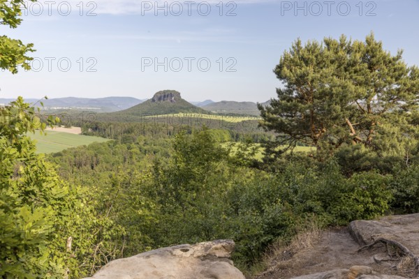 View from the Kleiner Bärenstein to the Lilienstein, Saxon Switzerland, Saxony, Germany