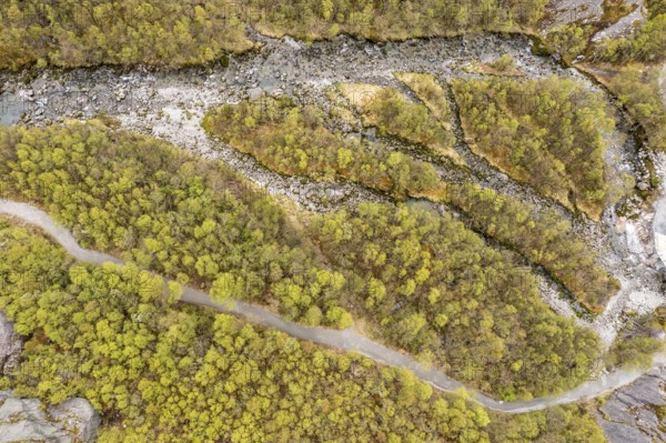Aerial view of river and path in a birch forest, path from parking lot to glacier Briksdalbreen, Norway