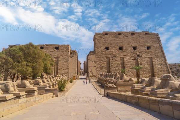 Sculpture of the pharaoh with the body of a lion inside the temple of Karnak, the great sanctuary of Amun. Egypt