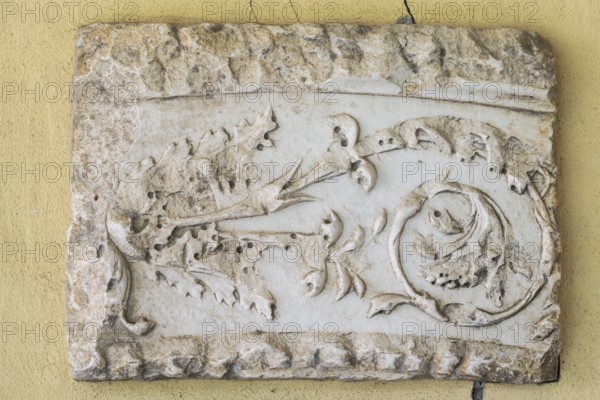 Fragment of a slightly curved frieze with tendrils, Städtisches Lapidarium, City of Stuttgart, Baden-Württemberg, Germany