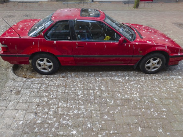Red car full of bird droppings