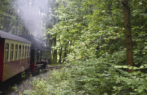 Selketalbahn, Harzer Schmalspurbahn, Brockenbahn runs through the Harz Mountains, Saxony-Anhalt, Germany
