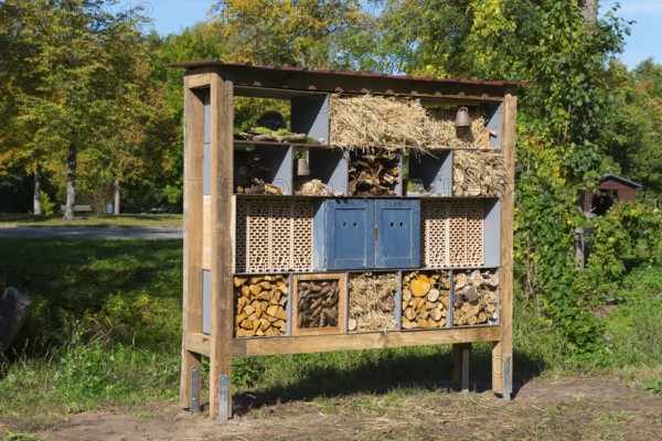 Large wooden insect hotel in an autumn garden, Magdeburgerforth, Jerichower Land, Saxony-Anhalt, Germany