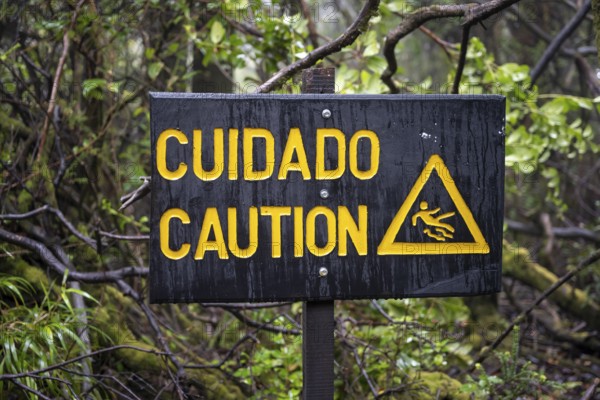 Warning sign Cuidado Caution, Attention danger of slipping, in the forest, Poás National Park, central highlands, Alajuela province, Costa Rica