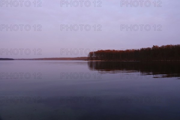 Werbellinsee, end of March, sunset, Brandenburg, Germany