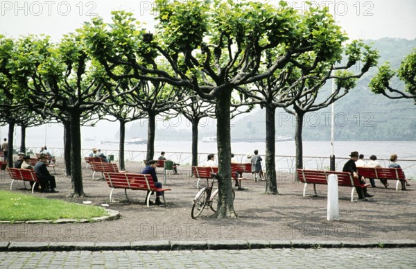 People sitting on benches on a terrace overlooking the Rhine, Andernach, Mayen Koblenz, Rhineland-Palatinate, Germany, Europe 1961