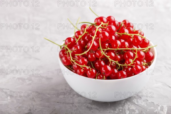 Fresh red currant in white bowl on gray concrete background. side view, close up